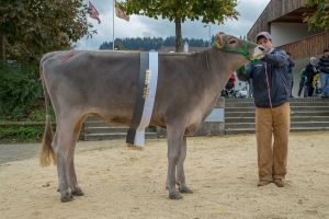 012Rindermiss Regioschau Willisau Blooming Estonia WTS-Genetics 3